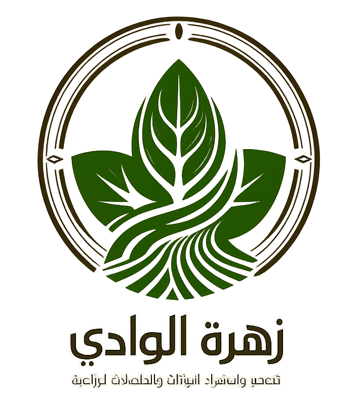cropped-ChatGPT-Image-Jun-29-2026-12_05_34-AM.png