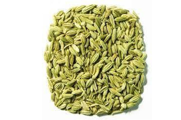 Fennel